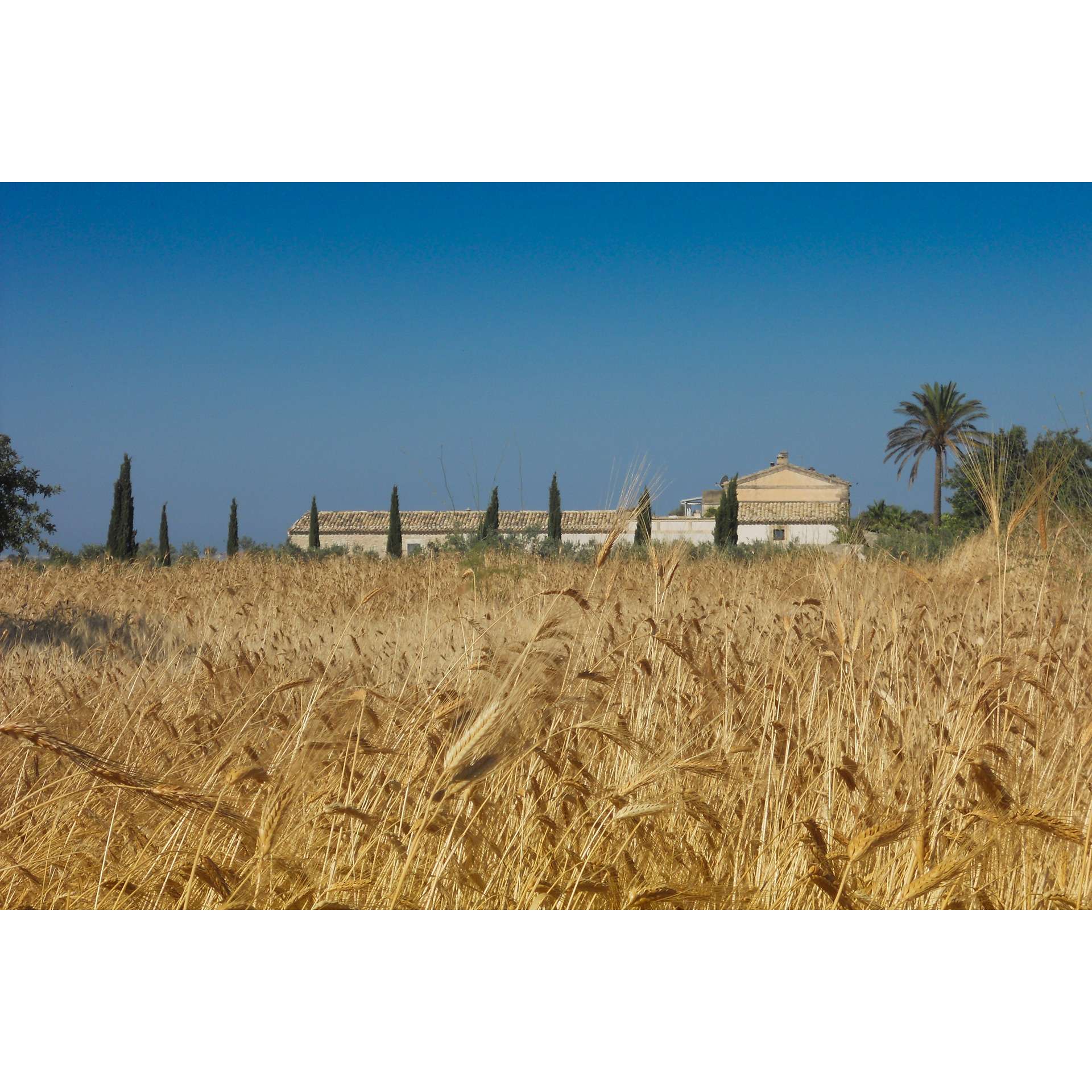 Tenuta Cammarana in Donnafugata, Italy